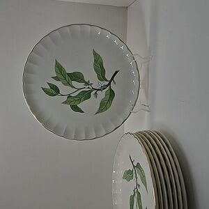 W.S. George Bolero Orange Blossom 10 1/4 in. Dinner Plate EXCELLENT CONDITION